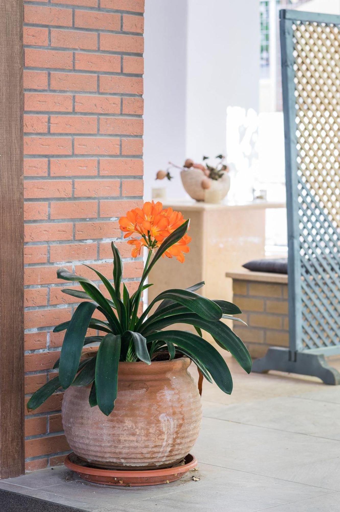 Glyfada'S Cosy Apartments เอเธนส์ ภายนอก รูปภาพ