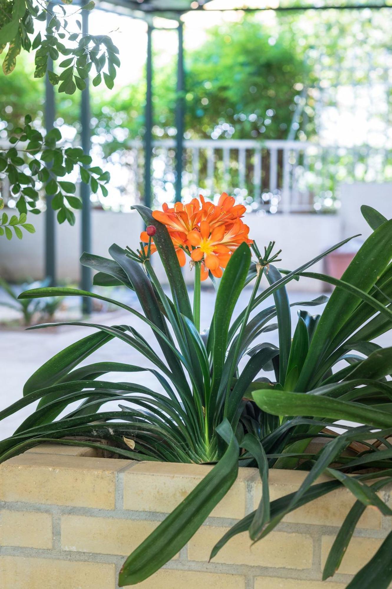 Glyfada'S Cosy Apartments เอเธนส์ ภายนอก รูปภาพ